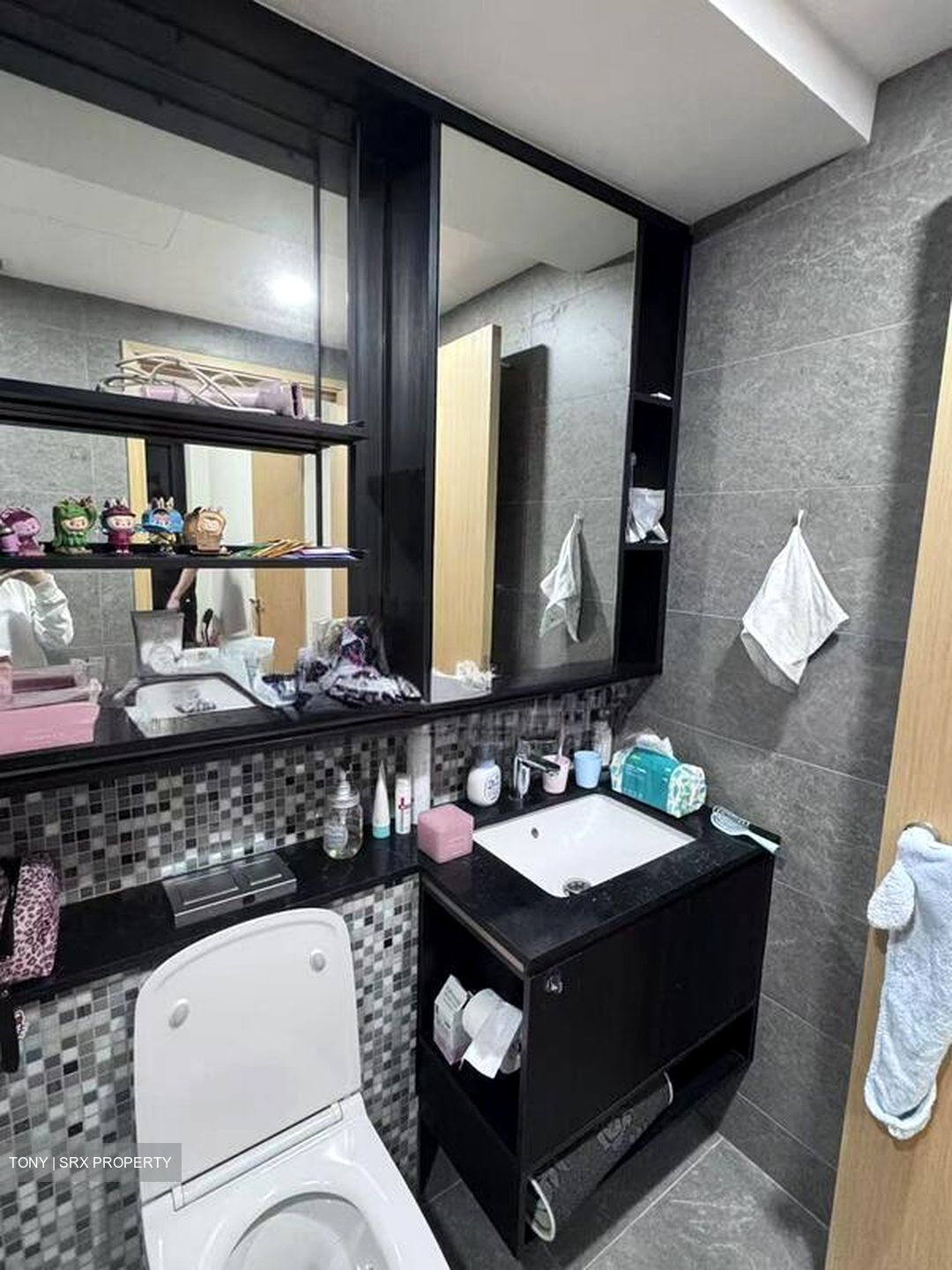 The Antares (D14), Apartment #495657741